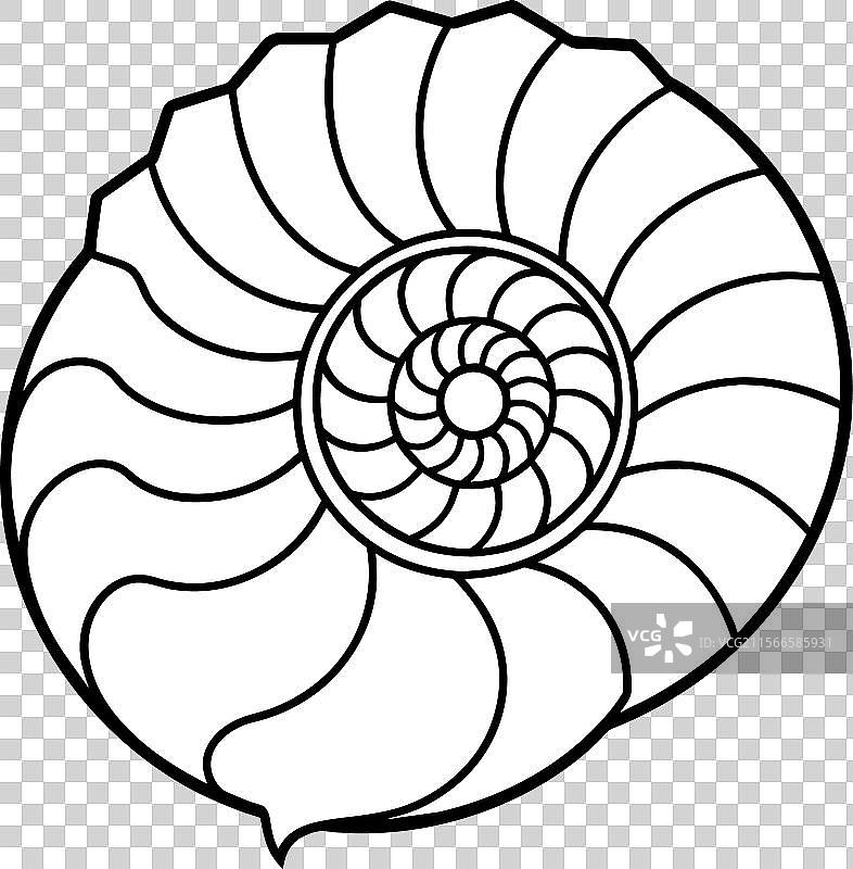 菊石壳睡眠图标图片素材