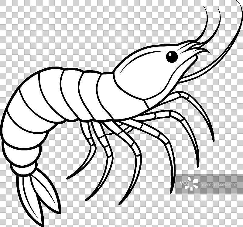 海洋虾学习图标图片素材