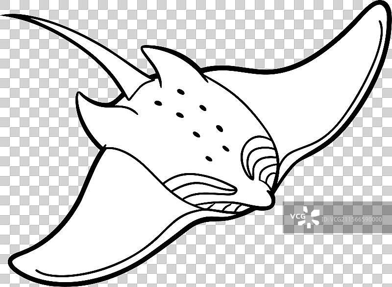 天使鲨鱼鱼类飞行图标图片素材