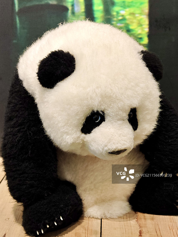 熊猫周边图片素材