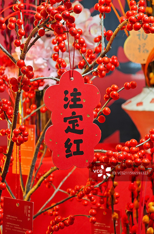 注定红挂饰的红色浆果盆栽图片素材