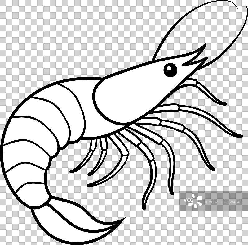 南极磷虾学习图标图片素材