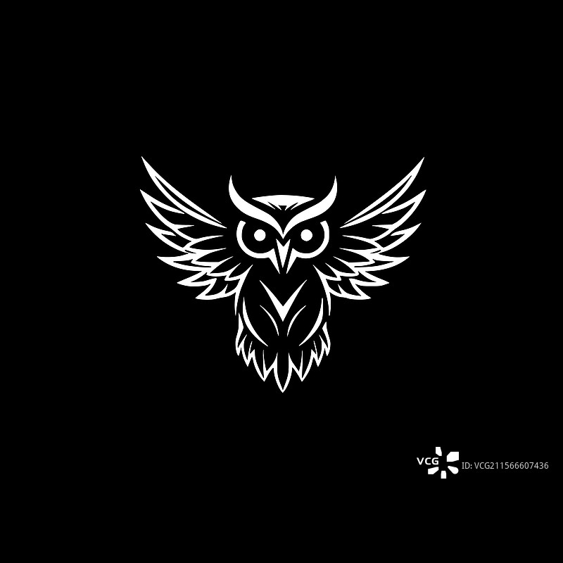 猫头鹰 - 黑白色图片素材