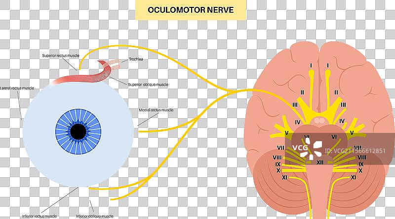动眼神经海报图片素材