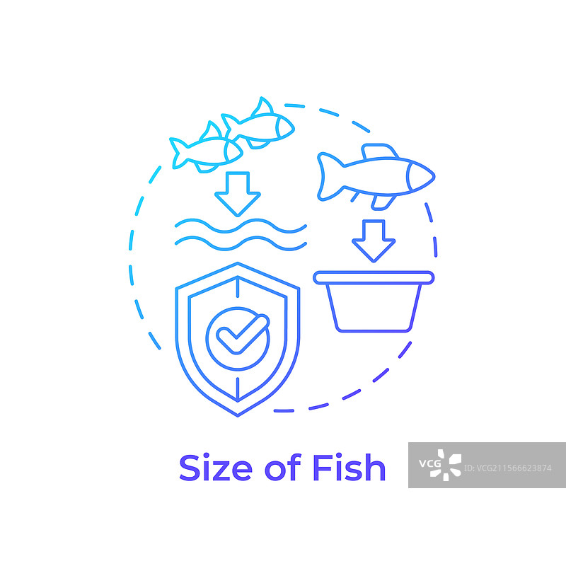 鱼的大小蓝色渐变概念图标图片素材