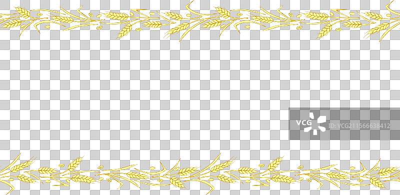 由金色小麦或黑麦穗构成的背景框架图片素材