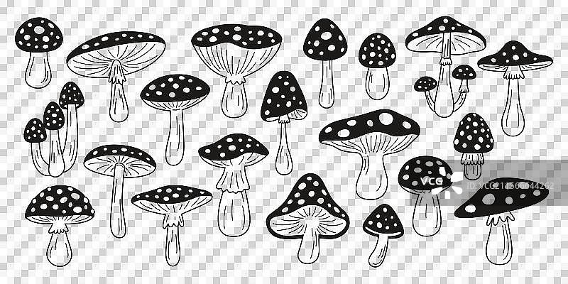 平面手绘黑白卡通苍蝇图片素材
