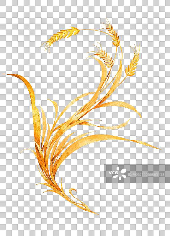 凤凰，麦穗，丰收，免抠图片素材