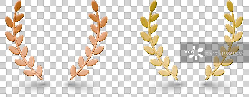 不同类型的逼真月桂花环集合图片素材