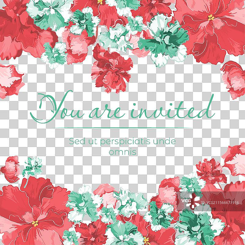 孤立的框架中盛开的室内植物图片素材