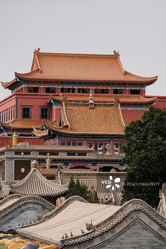 阿拉善左旗定远营图片素材