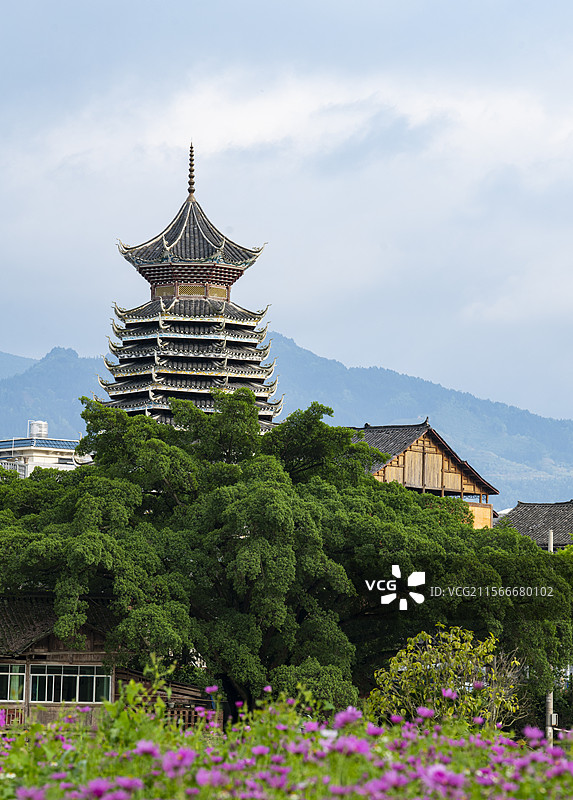 榕江三宝侗寨鼓楼与古榕树图片素材