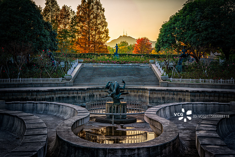 杭州西湖杭州花圃秋天的景色图片素材