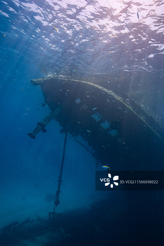 马尔代夫潜水图片素材