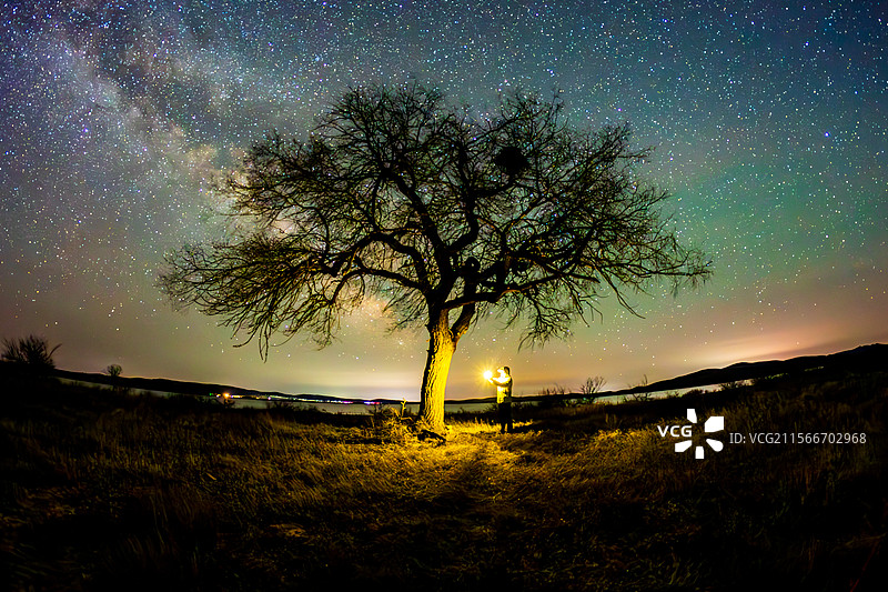 《上都湖夜曲：孤树与璀璨星河的私语》图片素材