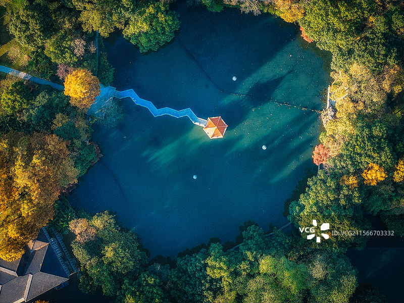 杭州西湖的绝美秋景图片素材