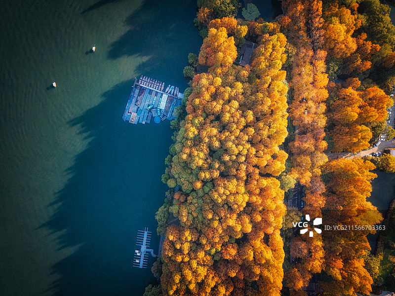 杭州西湖的绝美秋景图片素材