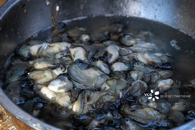 碗中刚剥出来大量海蛎的特写镜头图片素材
