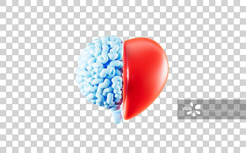 人类大脑和心脏3D渲染图片素材