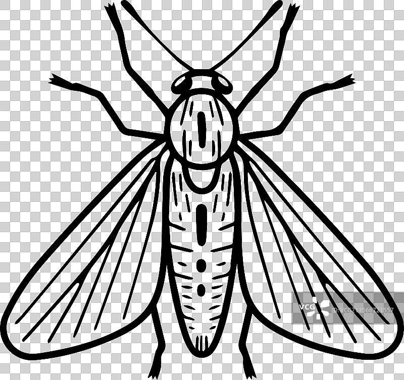 小虫图标或现代线条符号线条艺术图片素材