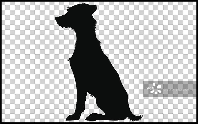 杰克罗素梗犬休息的剪影图片素材