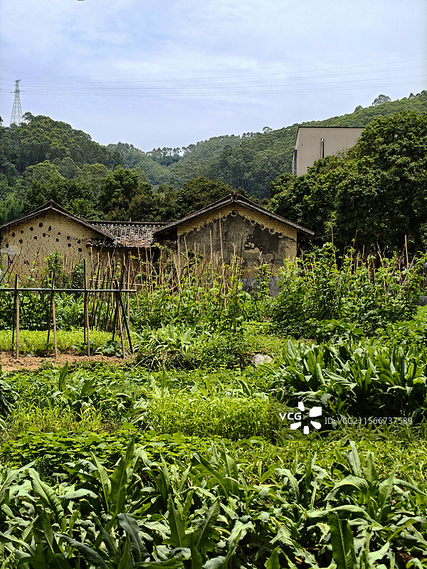 广州乡村图片素材