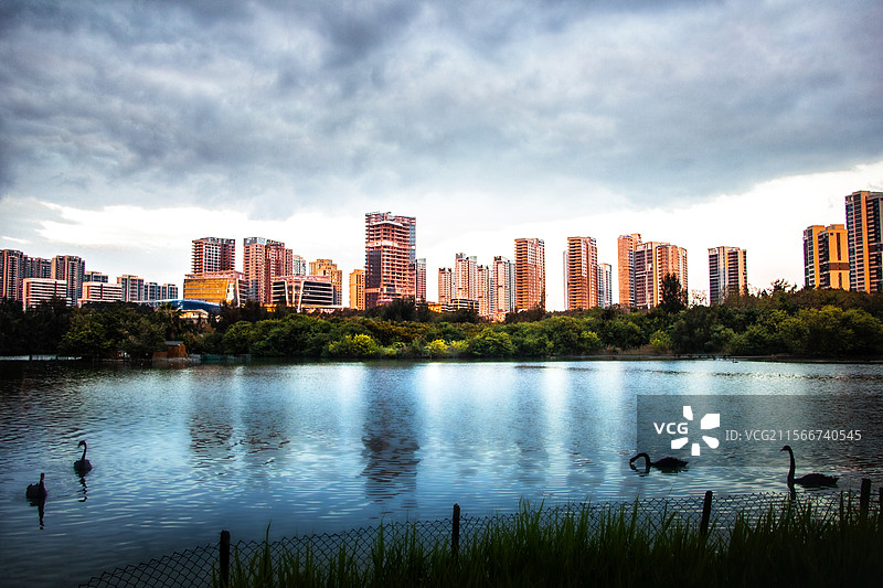 厦门五缘湾湿地公园图片素材