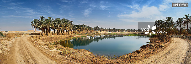 【AI数字艺术】航拍无人经济无人机沙漠绿洲与土路金色沙海中的生机盎然绿洲茂密棕榈树与清澈湖泊对比荒芜景观商业背景图片素材