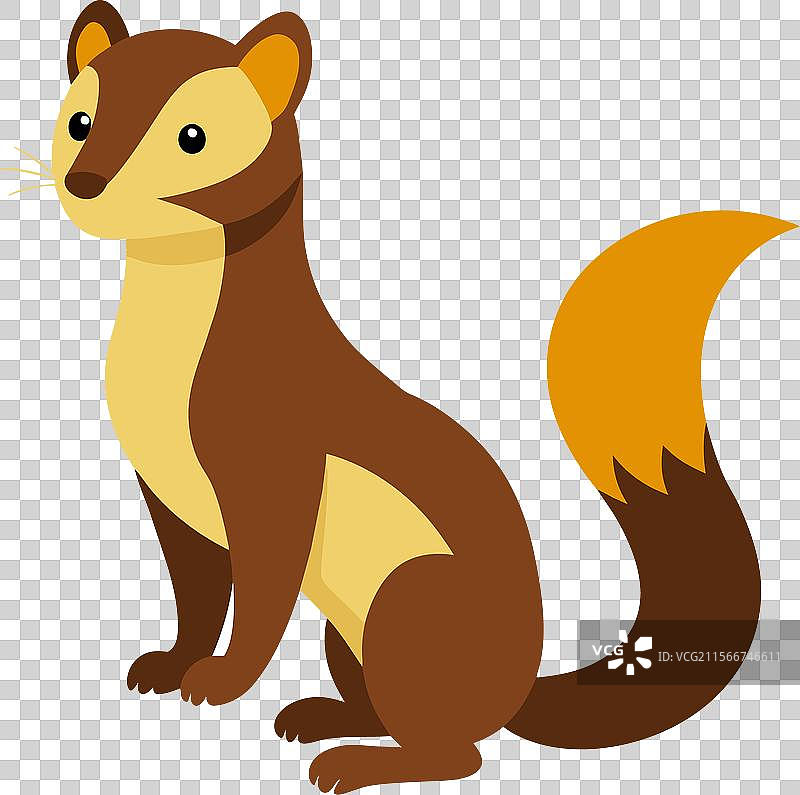 一只松貂直立在白色背景上图片素材