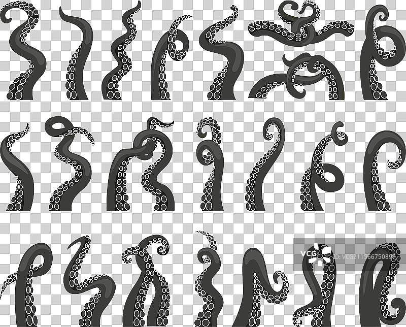 黑色章鱼触手 克拉肯 章鱼 触手图片素材