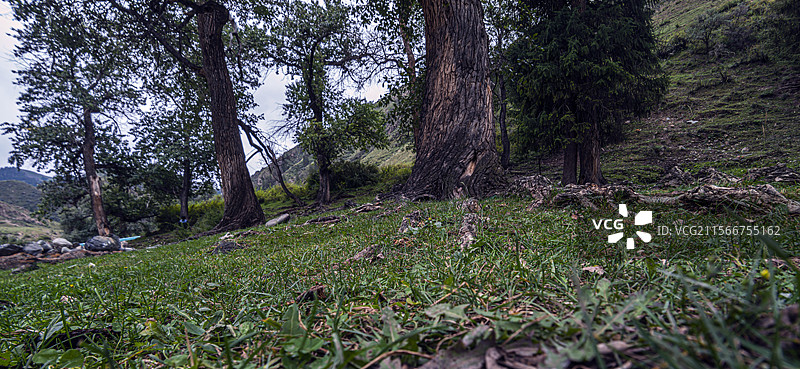 新地乡小分子画家村风光（新疆吉木萨尔县）图片素材