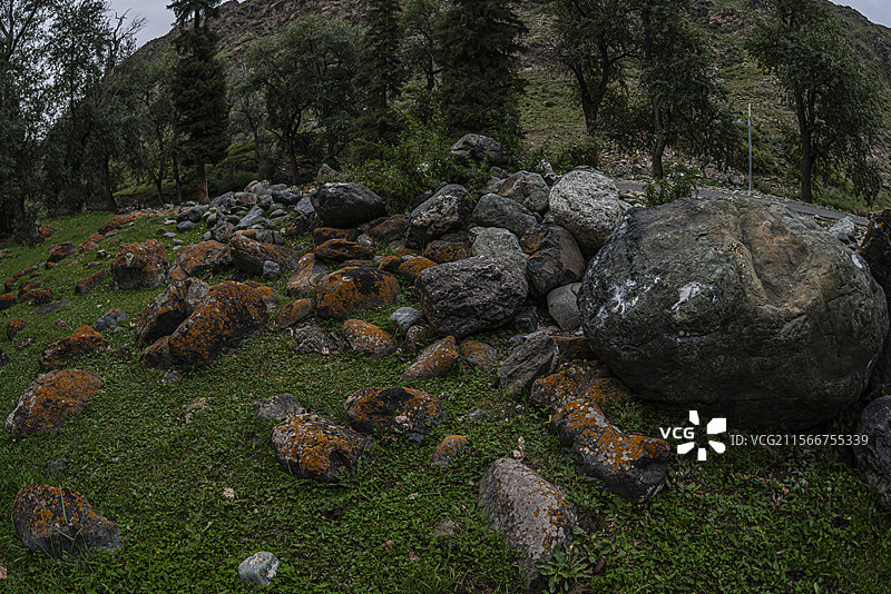 新地乡小分子画家村风光（新疆吉木萨尔县）图片素材