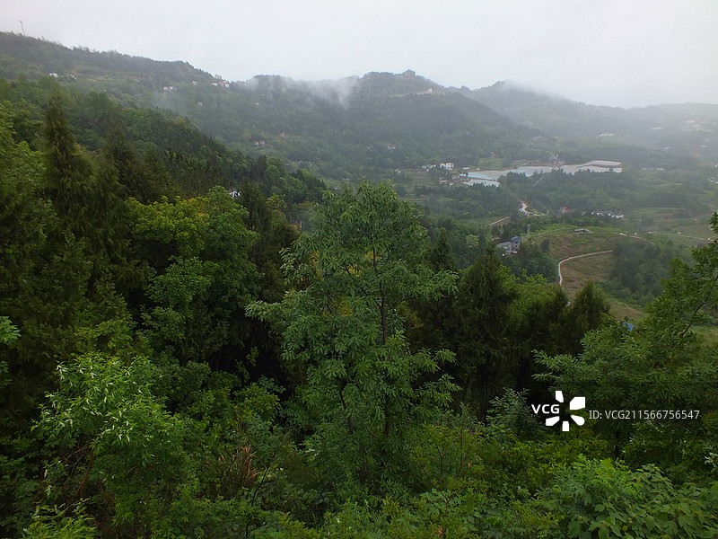 2024年8月8日，重庆市云阳县的农村田野庄稼和森林农民院落水利库三农新农村农业农民农田耕地粮食图片素材