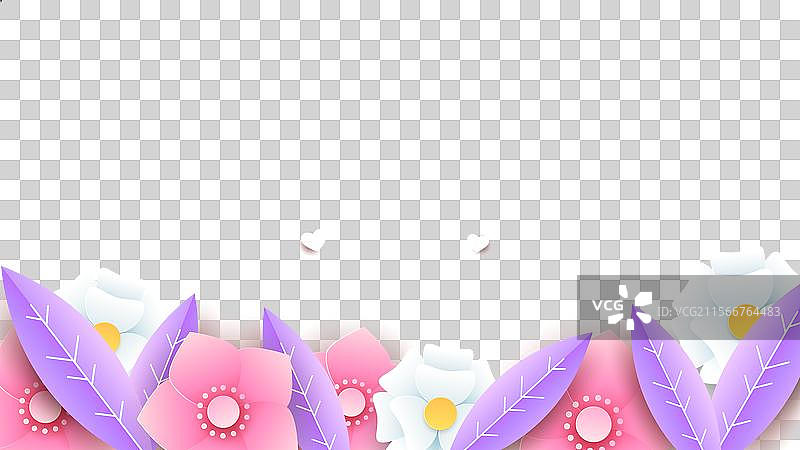 粉色、白色和紫色的紫罗兰，母亲节快乐图片素材