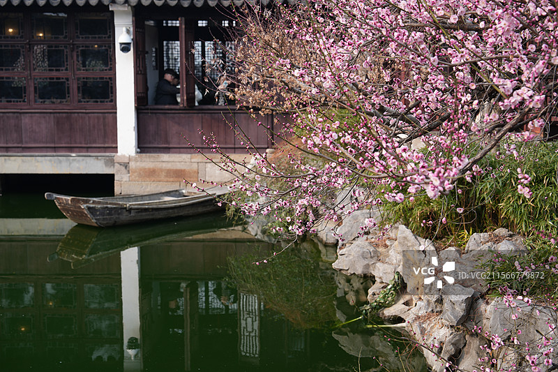 樱花古建筑背景图片素材