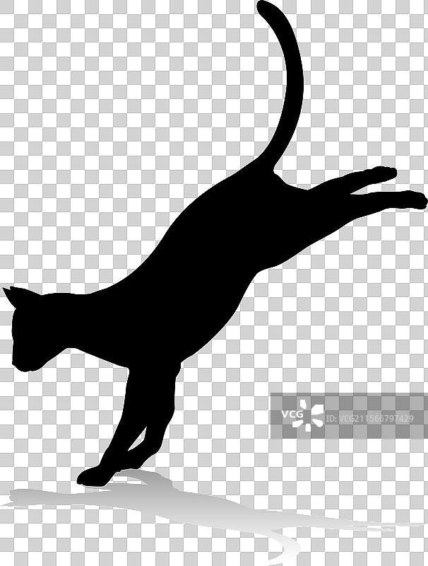 猫宠物动物剪影图片素材