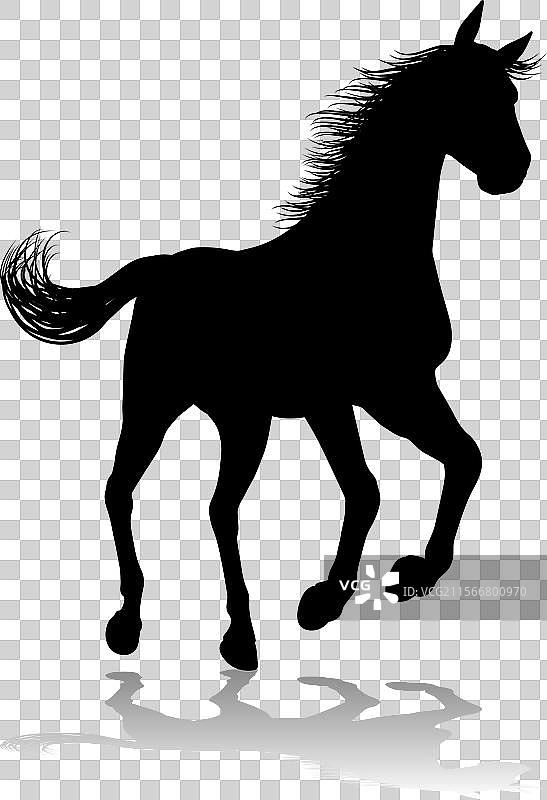 马的轮廓动物图片素材