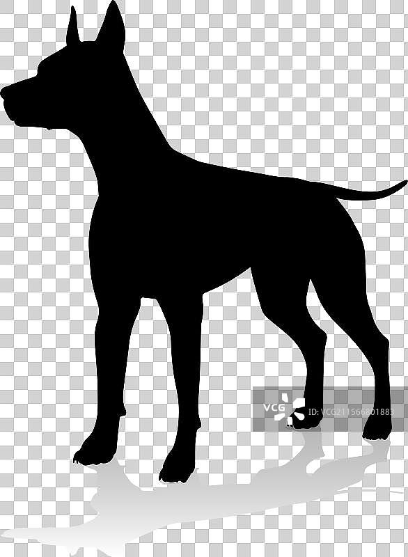 狗的轮廓宠物动物图片素材