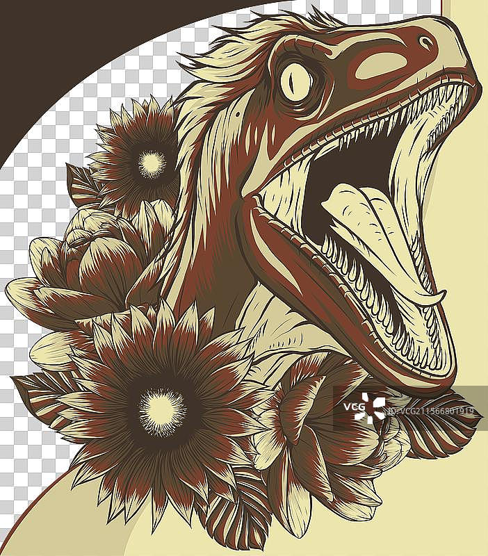 迅猛龙恐龙与图片素材