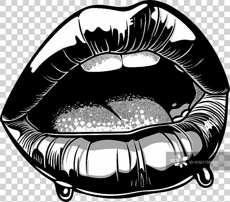 黑白色调的性感嘴唇细节图图片素材