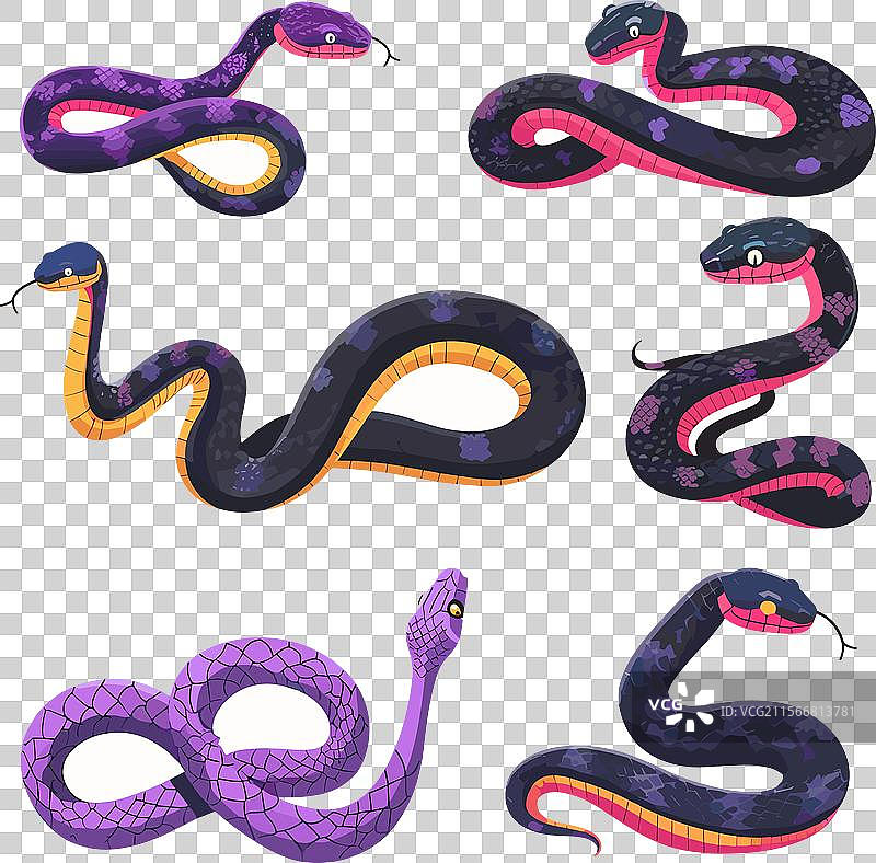 各种姿势和图案的彩色蛇的集合图片素材