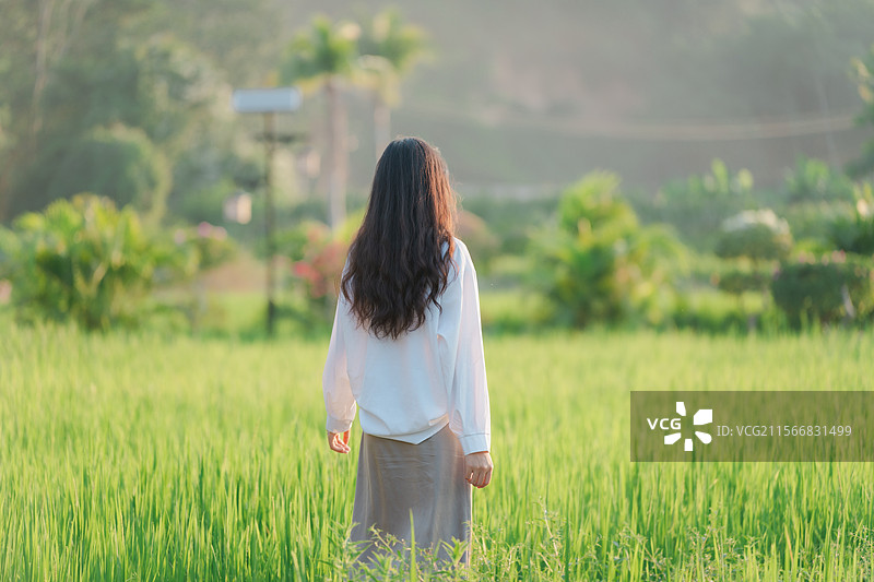 田野间长发女子的悠然背影图片素材