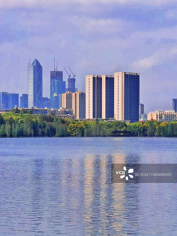 广州海珠湖旁高楼图片素材
