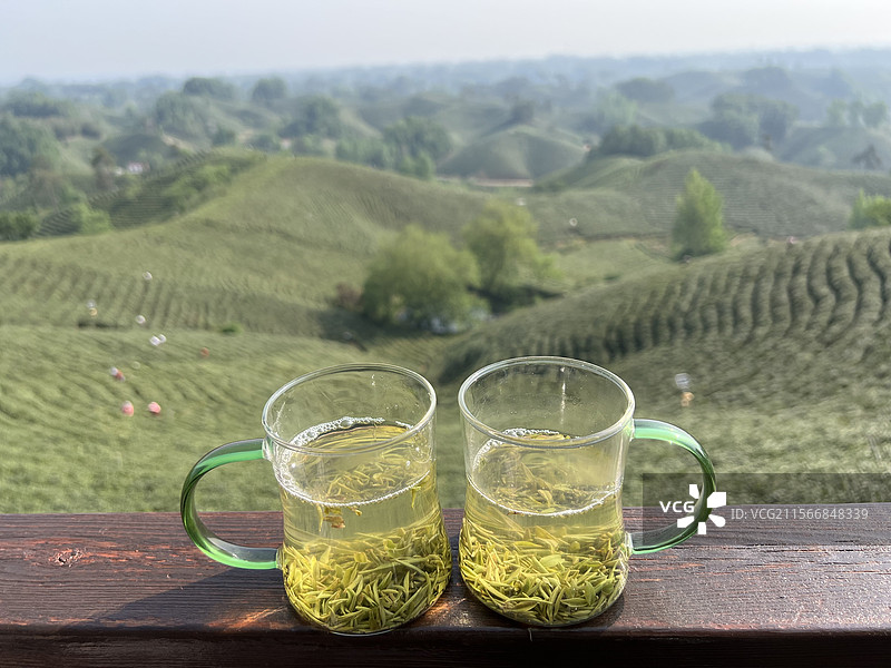 信阳文新茶村茶山饮茶图片素材