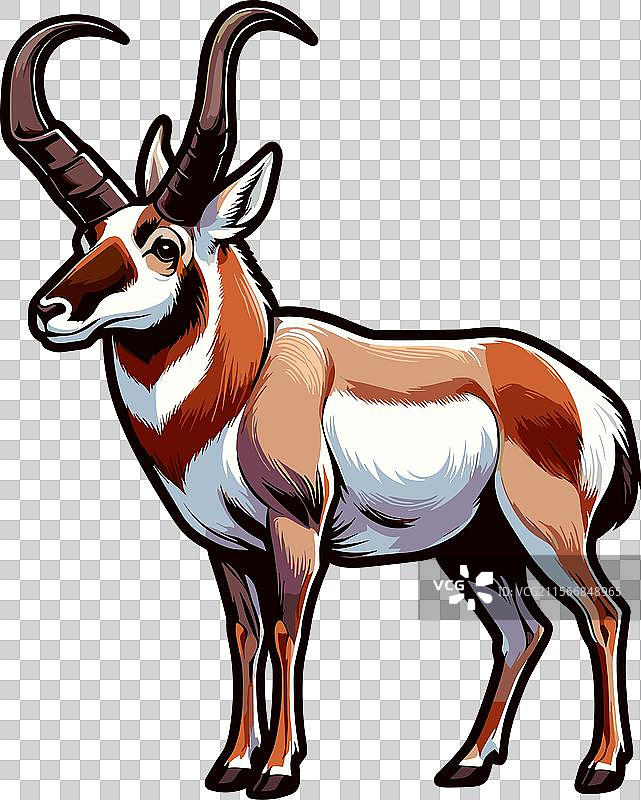 侧面行走的叉角羚的颜色图片素材