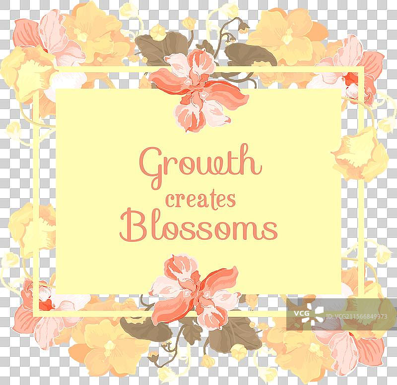 孤立的框架中盛开的室内植物图片素材