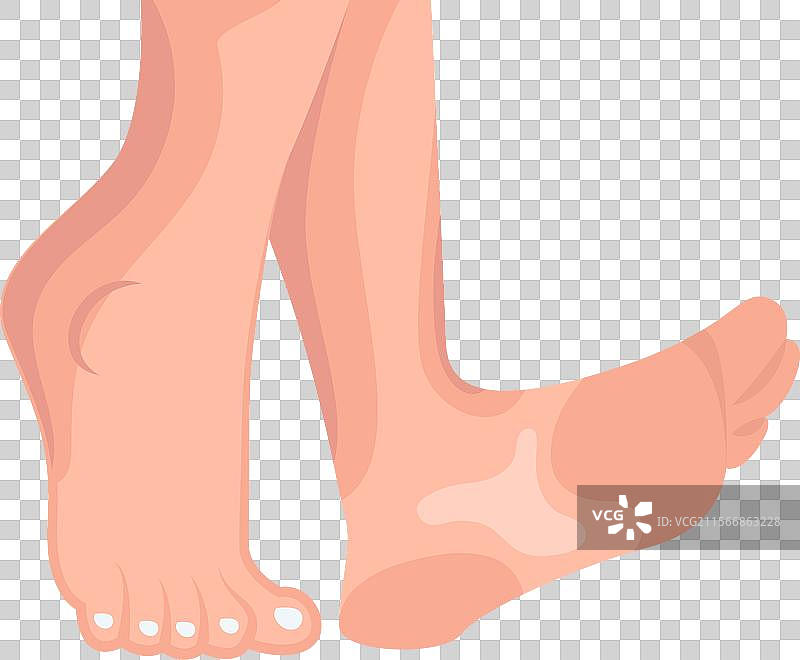 平面风格的女性脚图标图片素材