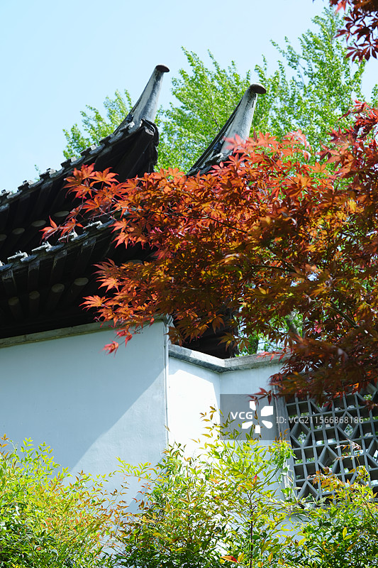 扬州，瘦西湖，烟花三月下扬州图片素材