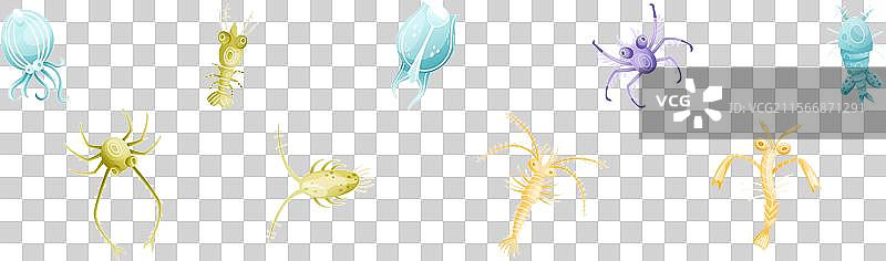 浮游生物多样的水生生物自由漂浮在水中图片素材