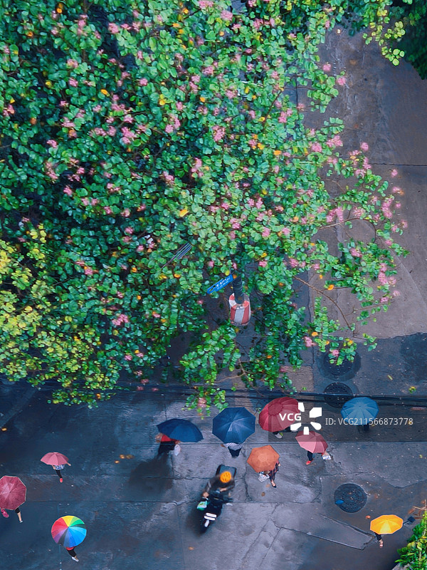 伞花开图片素材